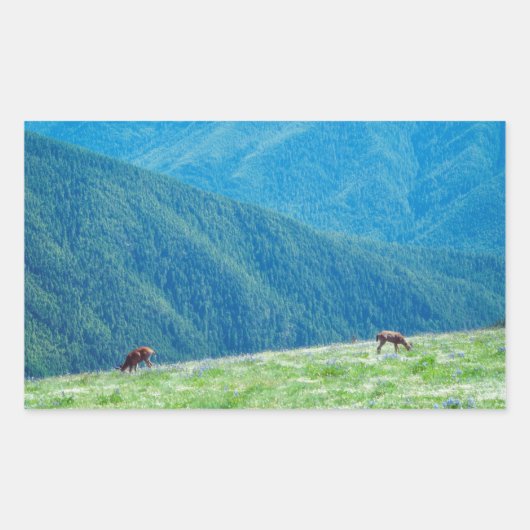 Bucks by the Mountains 長方形シール (正面)