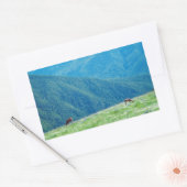 Bucks by the Mountains 長方形シール (封筒)