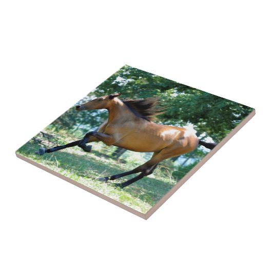 Buckskinのモーガンの馬 タイル (側面)