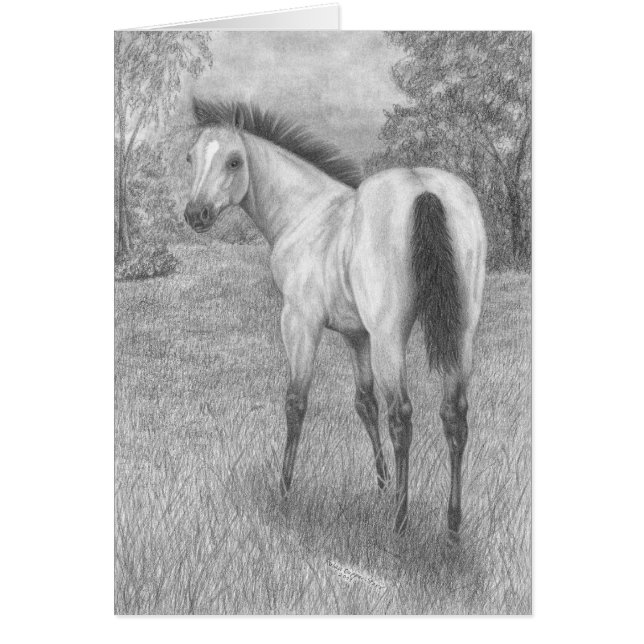 Buckskinの雌の子馬 (正面)