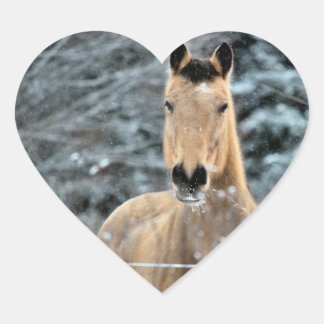 Buckskinの馬の冬 ハートシール