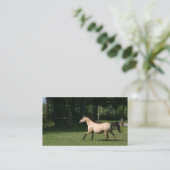 Buckskinの馬の名刺 名刺 (スタンド正面)