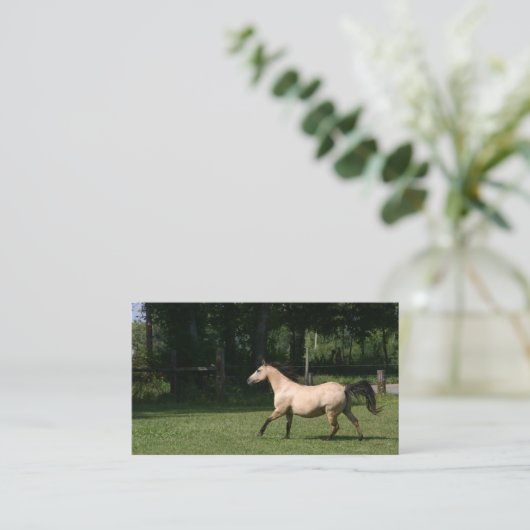 Buckskinの馬の名刺 名刺 (スタンド正面)