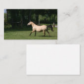 Buckskinの馬の名刺 名刺 (正面/裏面)