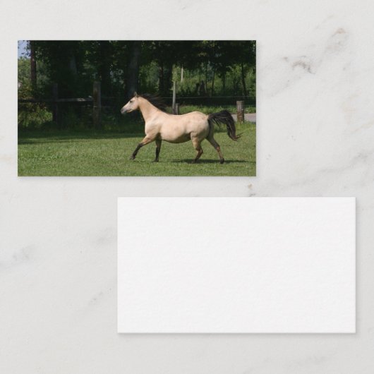 Buckskinの馬の名刺 名刺 (正面/裏面)