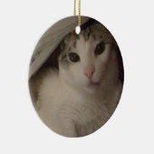 Bucky猫のオーナメント セラミックオーナメント (右)