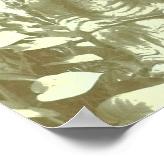 Buddah ポスター (角)