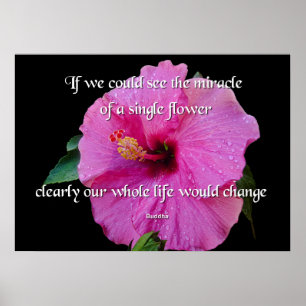 Buddha, A Single Flower ポスター