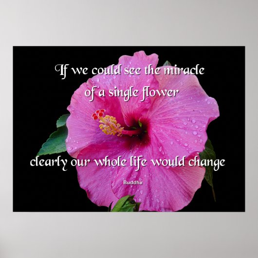 Buddha, A Single Flower ポスター (正面)