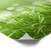 Buddha - Each morning. ポスター (角)