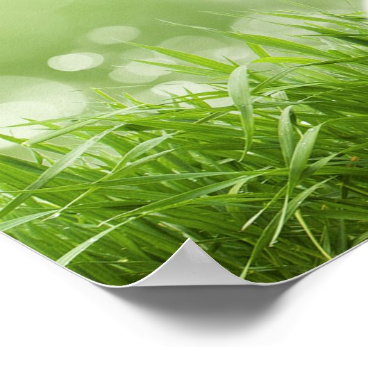 Buddha - Each morning. ポスター (角)