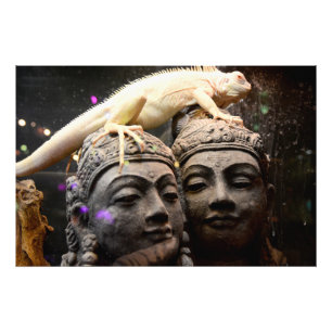 Buddha gets his head grabbed by an iguana フォトプリント           