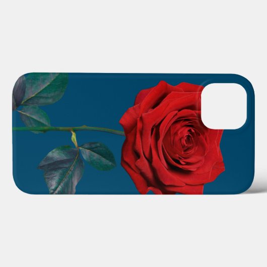 BuddhaToday V1 #14 Case-Mate iPhoneケース iPhone 13ケース (裏面 (横))