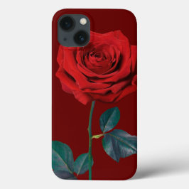 BuddhaToday V1 #16 Case-Mate iPhone カー 13ケース