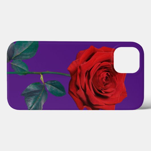 BuddhaToday V1 #17 Case-Mate iPhoneケース iPhone 13ケース (裏面 (横))