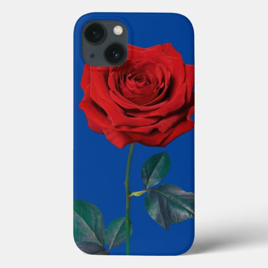 BuddhaToday V1 #18 Case-Mate iPhone カーショ iPhoneケース (裏面)