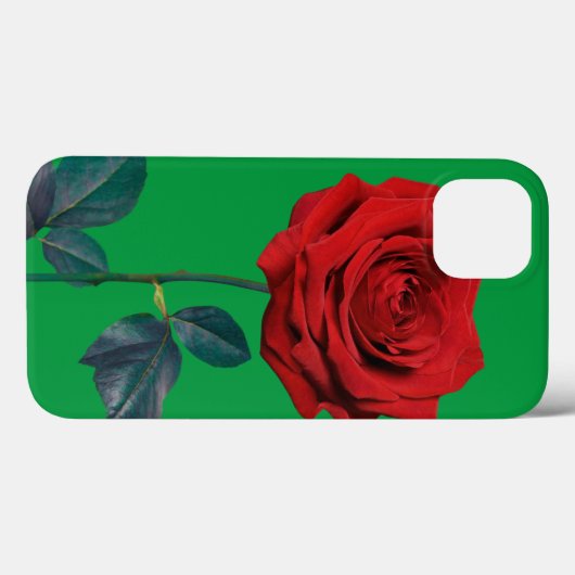 BuddhaToday V1 #19 Case-Mate iPhoneケース iPhone 13ケース (裏面 (横))