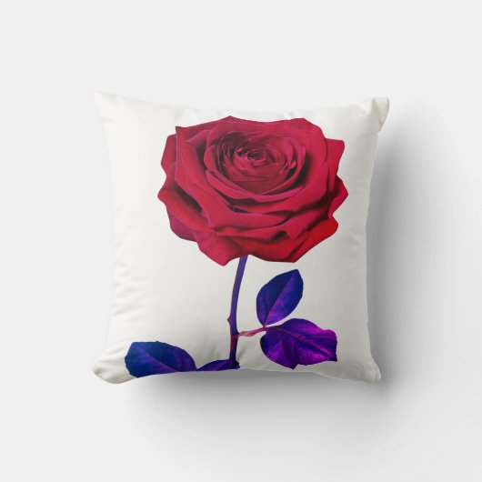 BuddhaToday V1 #44ピースピロー🌹 +引用文 クッション (正面)