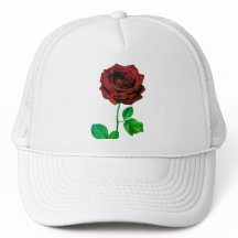 BuddhaToday V1 - #4🌹 