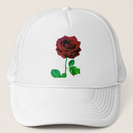 BuddhaToday V1 - #4🌹 キャップ