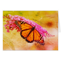 Buddleiaのマダラチョウ