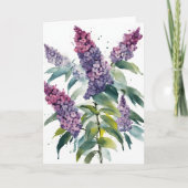 Buddleia - Watercolor flowers カード (正面)