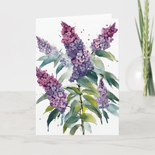 Buddleia - Watercolor flowers カード (正面)