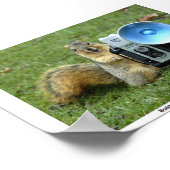 BUDDY P.SQUIRRELポスター ポスター (角)