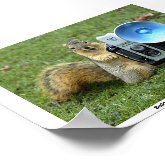 BUDDY P.SQUIRRELポスター ポスター (角)