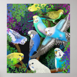 Budgerigars in Ferders Poster ポスター