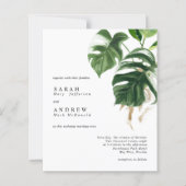 BUDGET熱帯緑モダン園結婚の誘致 (正面)