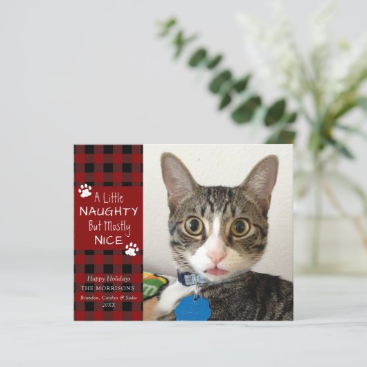 Budget Cat写真またはいけなNice Greeting Card (スタンド正面)