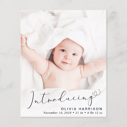 Budget Introducing Script Photo Birth Announcement (正面)