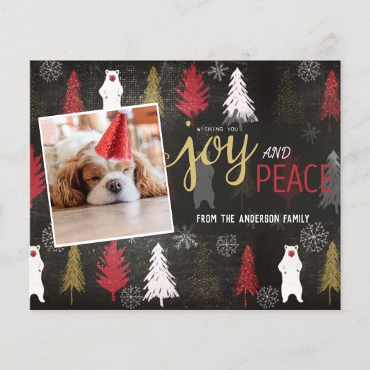 Budget Joy and Peace写真クリスマス (正面)