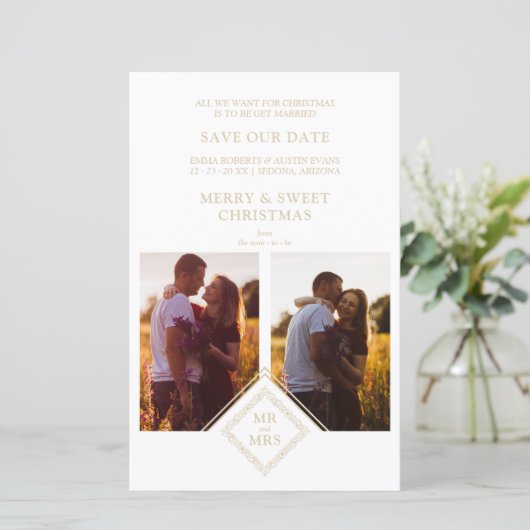 Budget Luxury Merry Christmas 2 Photos Collage (スタンド正面)