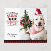 Budget Photoクリスマスになる季節すてきだ (正面)