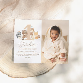 Budget Woodland Animals First Birthday Party写真