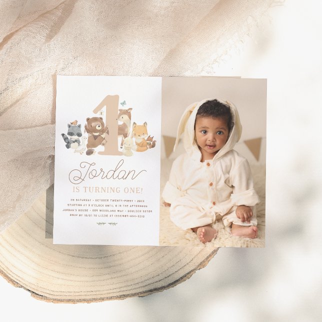 Budget Woodland Animals First Birthday Party写真 (クリエイターアップロード済み)