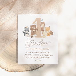 Budget Woodland Animals First Birthday Party