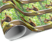 Budgieおよびアカリス ラッピングペーパー (ロールコーナー)