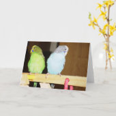 Budgieの大きいメッセージカード カード (黄色い花)