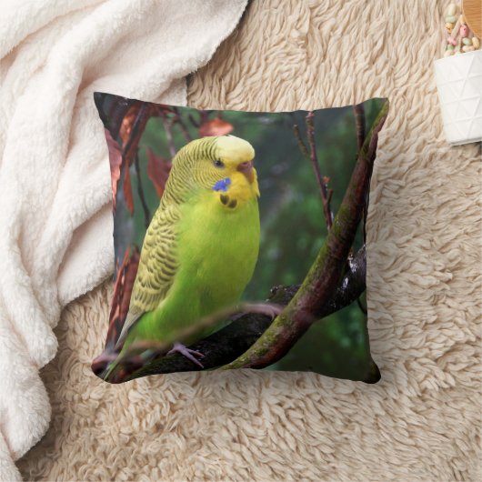 Budgie クッション (ブランケット)
