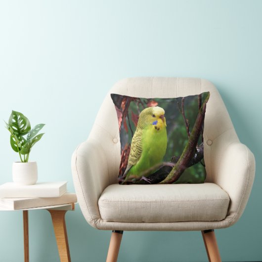 Budgie クッション (椅子)