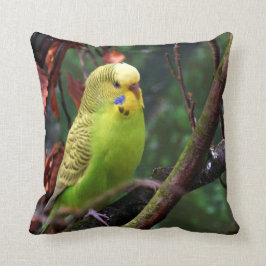 Budgie クッション