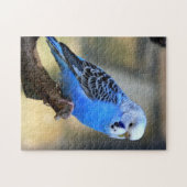 Budgie ジグソーパズル (横)