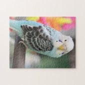 Budgie ジグソーパズル (横)