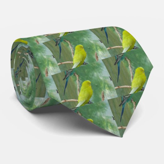 Budgie ネクタイ (ロール)