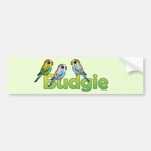 BUDGIE バンパーステッカー (正面)