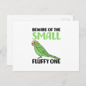 budgie ポストカード (正面/裏面)