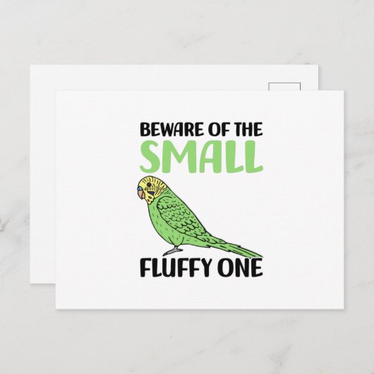 budgie ポストカード (正面/裏面)